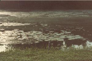 spiritual teachings